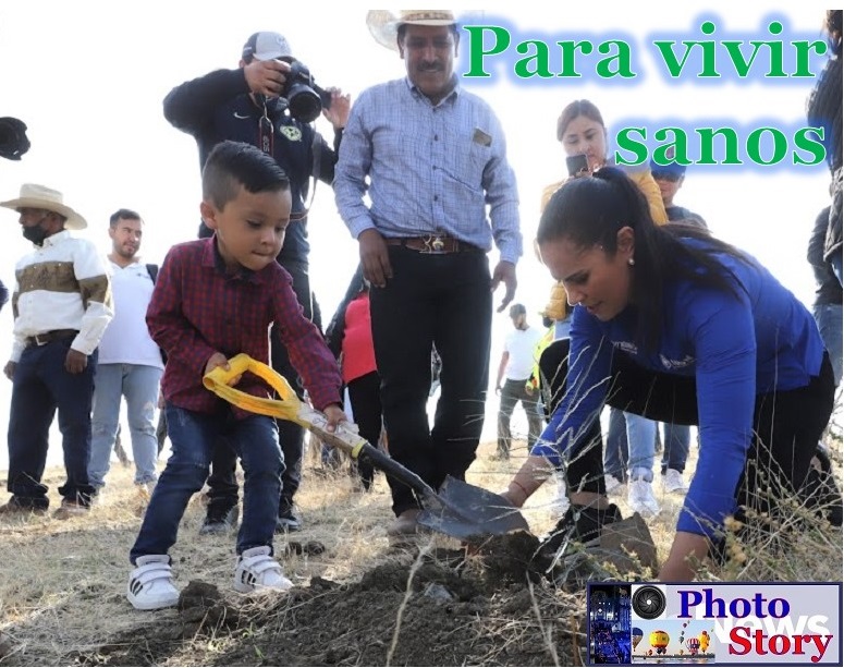 Se unen para reforestar León