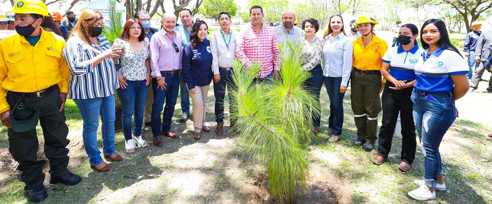 Reforestación Día del Arbol Guanajuato 3