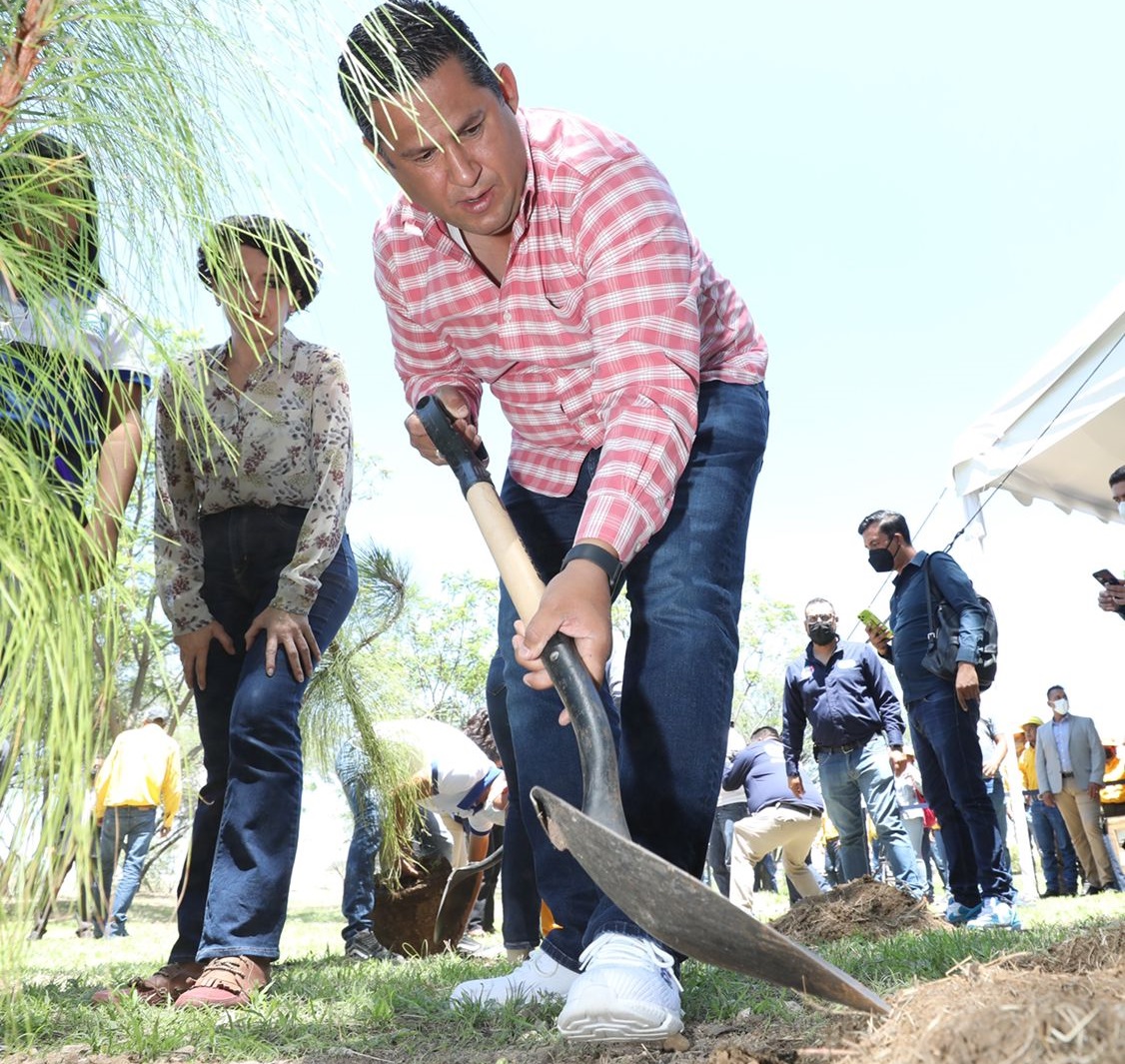 Reforestación Día del Arbol Guanajuato 4