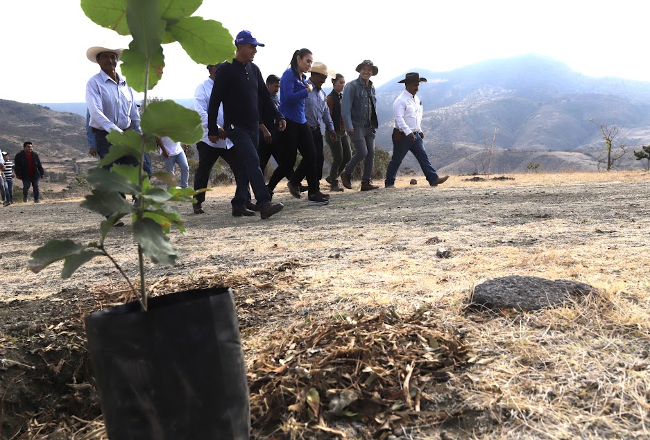 Reforestar León Guanajuato 3