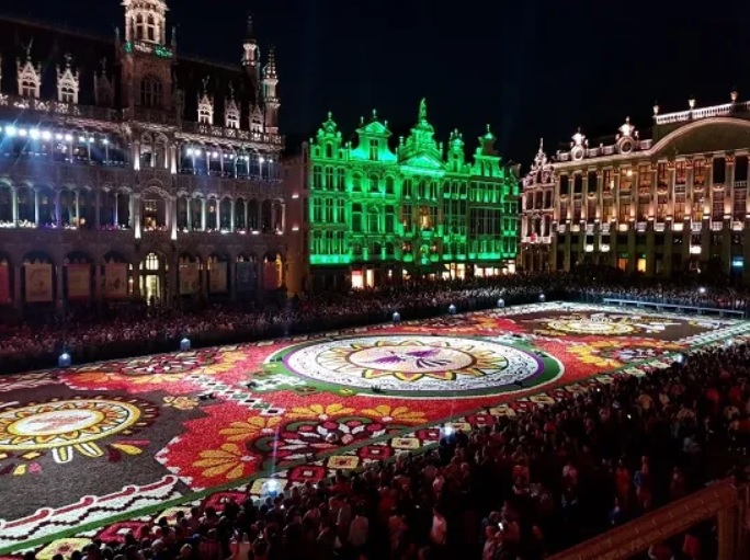 Utiangato Alfombra Bruselas Guanajuato 5