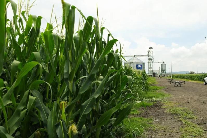 tecnología Campo Guanajuato 5