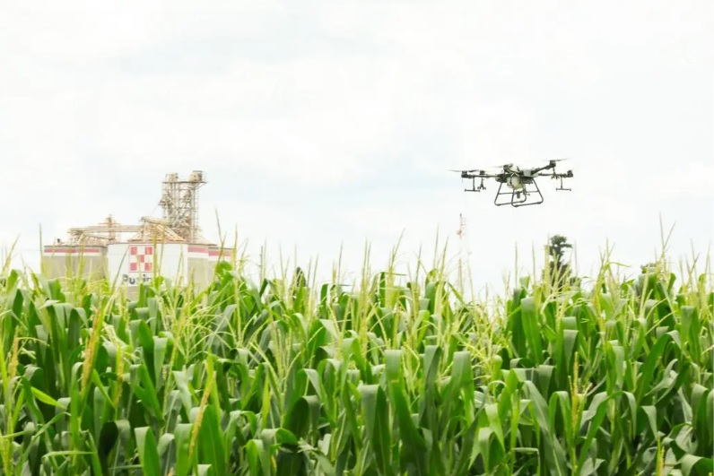 tecnología Campo Guanajuato 4