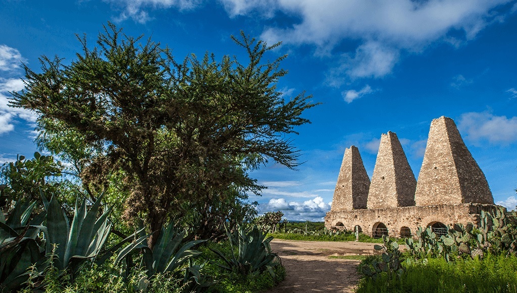 Magic Towns Mezcal Guanajuato 4