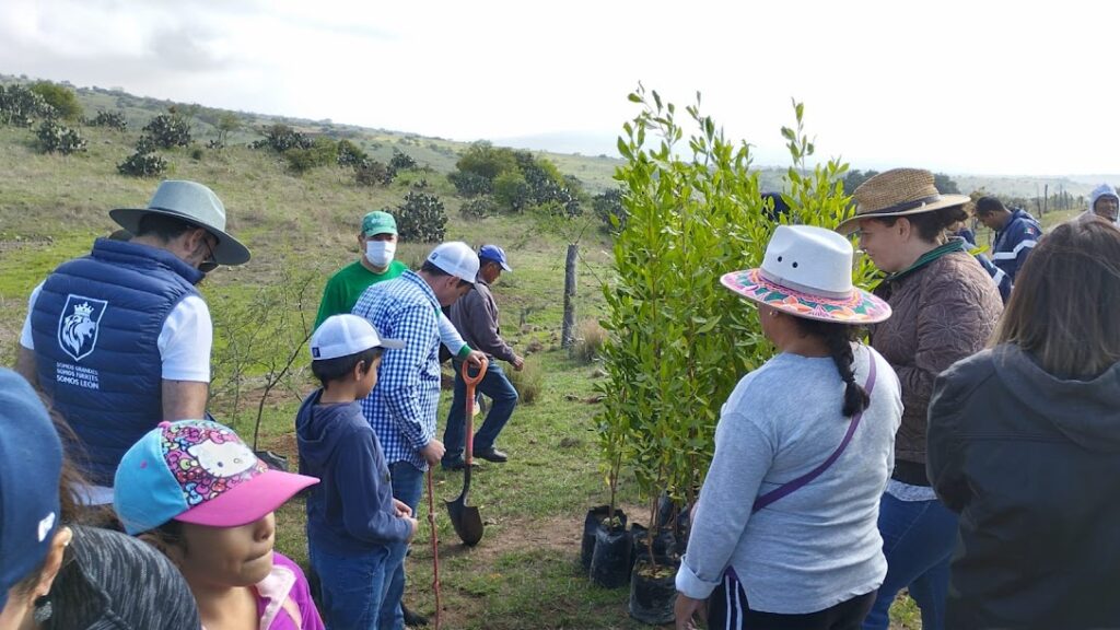 Reforestación León Guanajuato 6