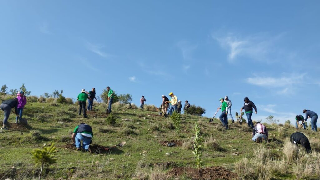 Reforestación León Guanajuato 8