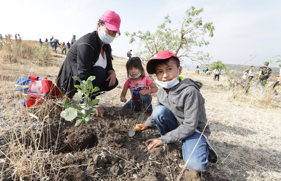 Reforestar San Jose León 5