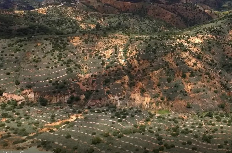 medio Ambiente Protección Guanajuato 5