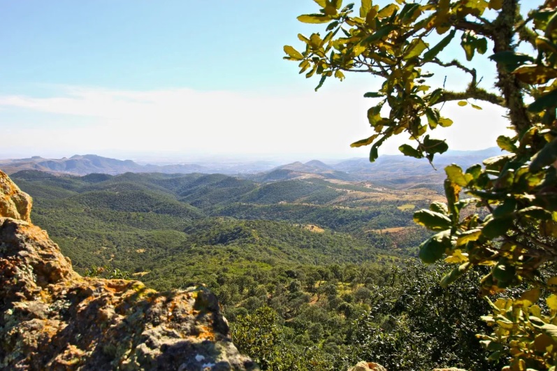 medio Ambiente Protección Guanajuato 7