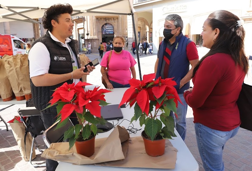 Noche buena Regalo Navidad Leon Guanajuato Guanajuato 3