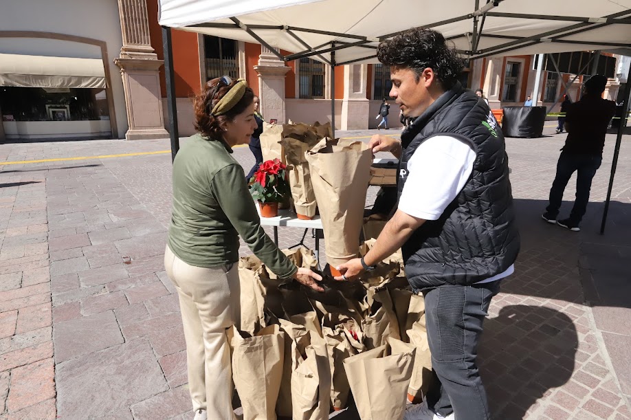 Noche buena Regalo Navidad Leon Guanajuato Guanajuato 5