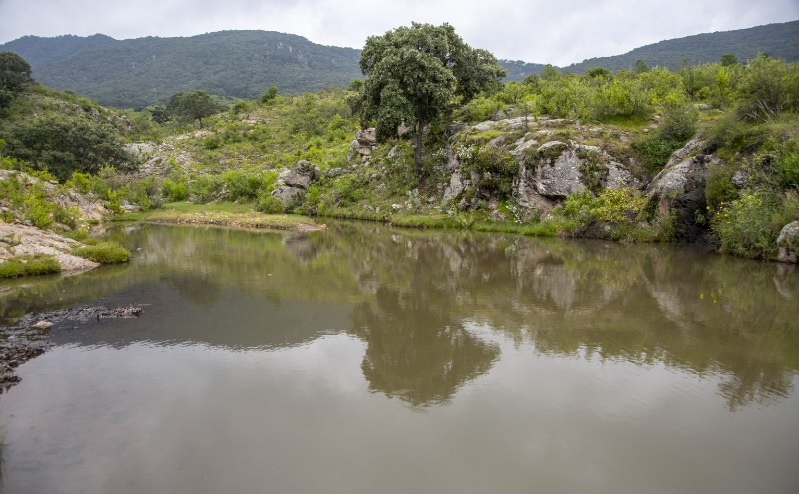 Reconocen protección a la naturaleza 3