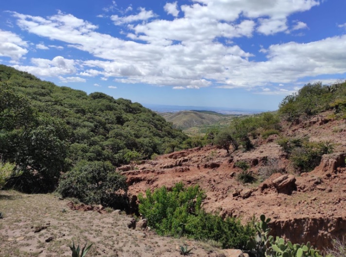 Protege Guanajuato la naturaleza 2