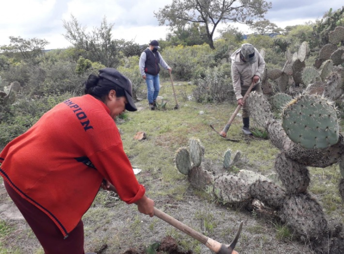 Protege Guanajuato la naturaleza 5