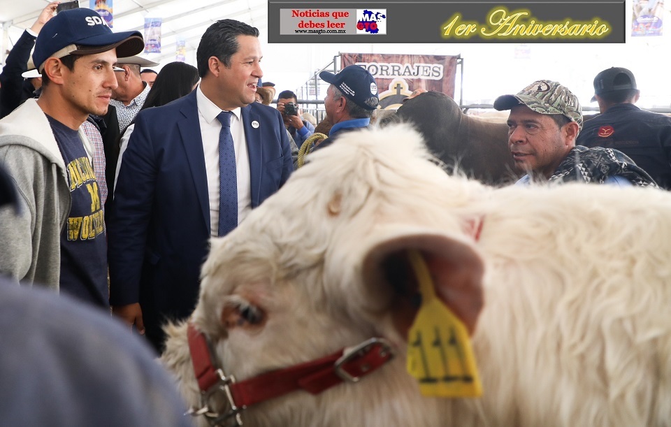 <strong>Adoptan tecnología ganaderos de Guanajuato</strong>