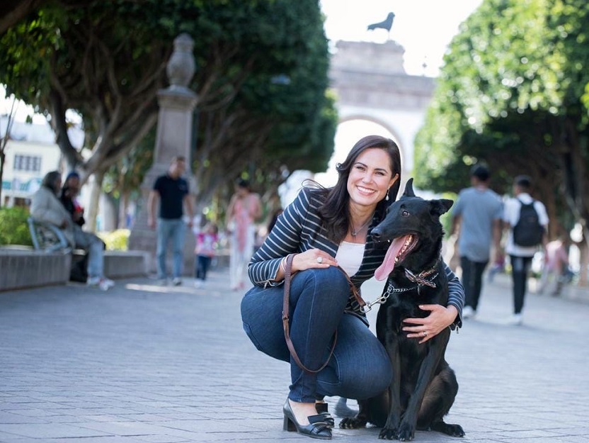 En Marzo, licitación del Hospital Veterinario