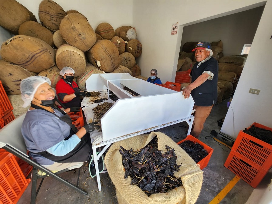 Llevan ‘Sabor de Guanajuato’ a USA Europa y Canadá