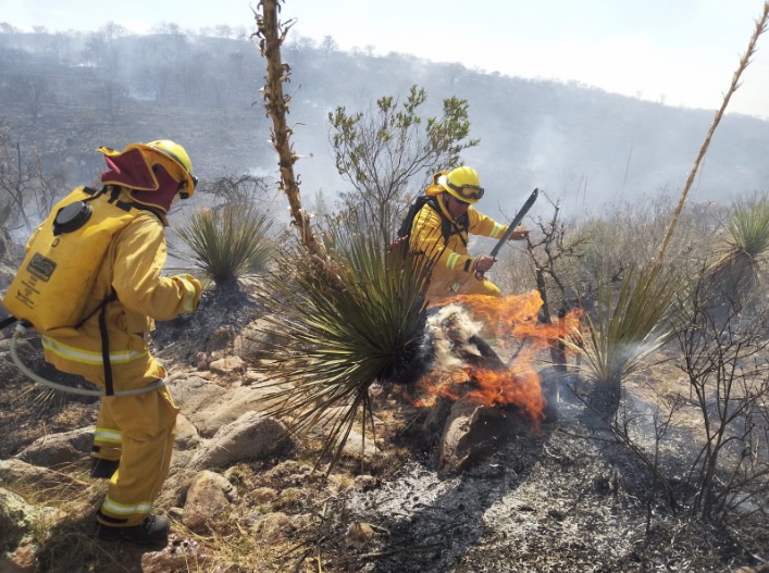 Combaten incendio forestal en la Capital