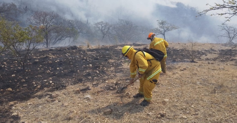 Combaten incendio forestal en la Capital