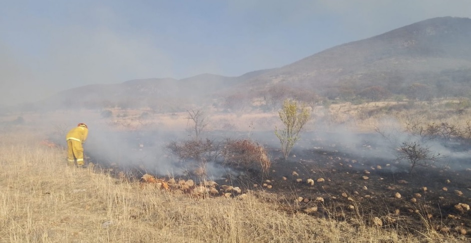 Combaten incendio forestal en la Capital