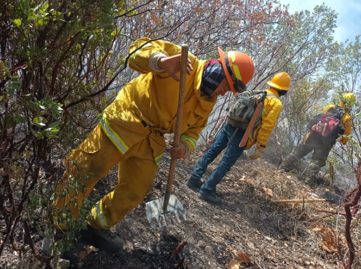 Combaten incendio forestal en la Capital