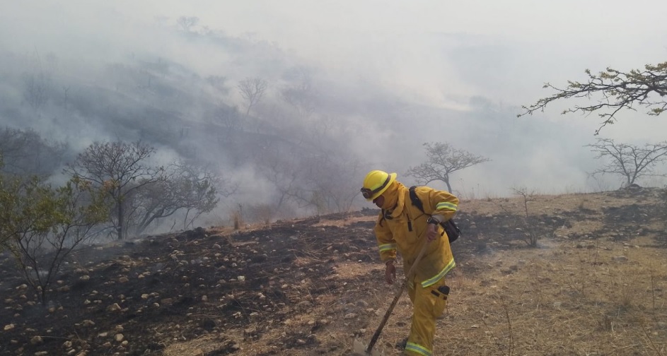 Combaten incendio forestal en la Capital