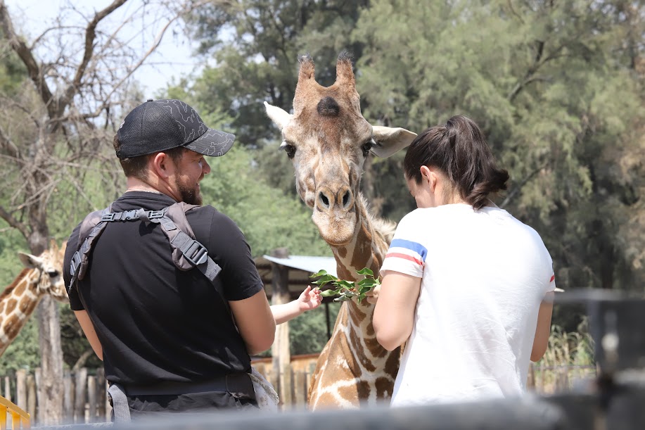 Fomenta ZooLeón interacción con animales