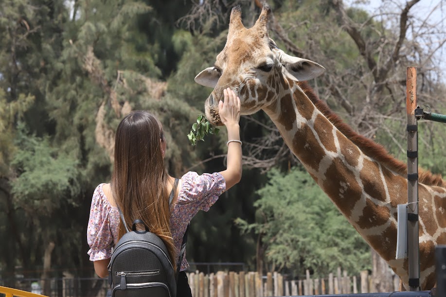 Zoo León Interacción Guanajuato 6