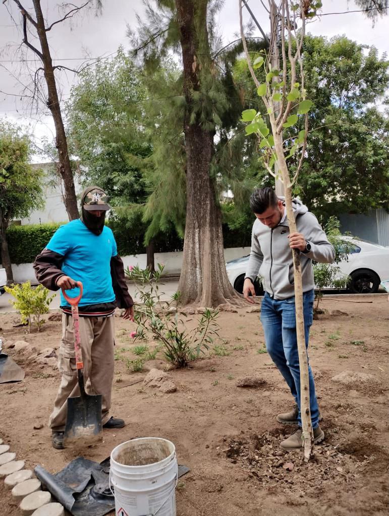 Reforestación 11 Mil Arboles León Guanajuato 5