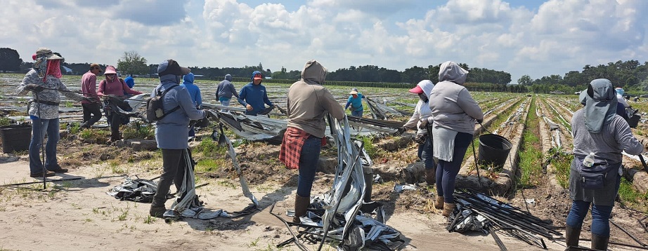 Migrantes Florida Apoyo Gobierno de Guanajuato 3