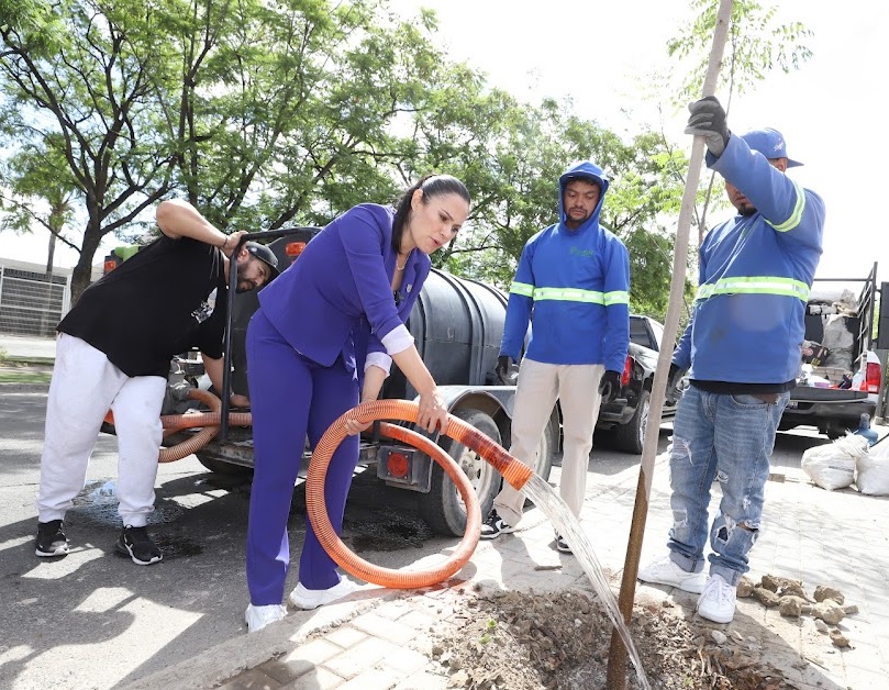 Se han plantado 533 árboles en una semana