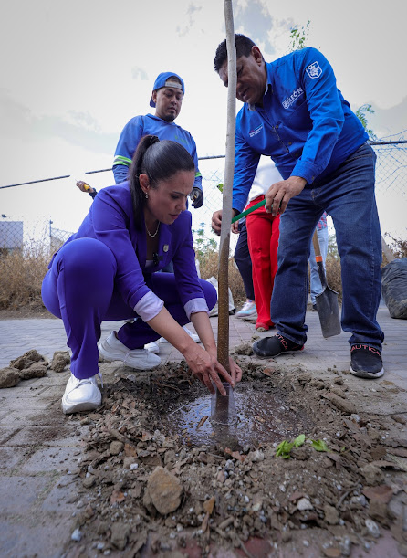 Se han plantado 533 árboles en una semana