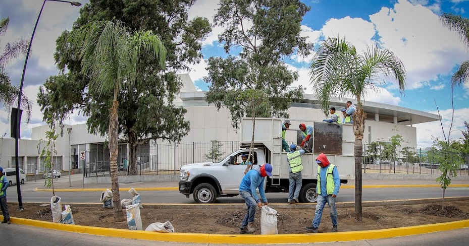 Se han plantado 533 árboles en una semana