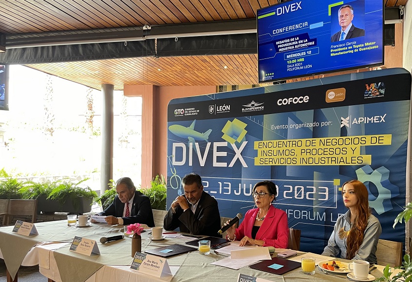 DIVEX Diversificación APIMEX Proveedores León Guanajuato 6