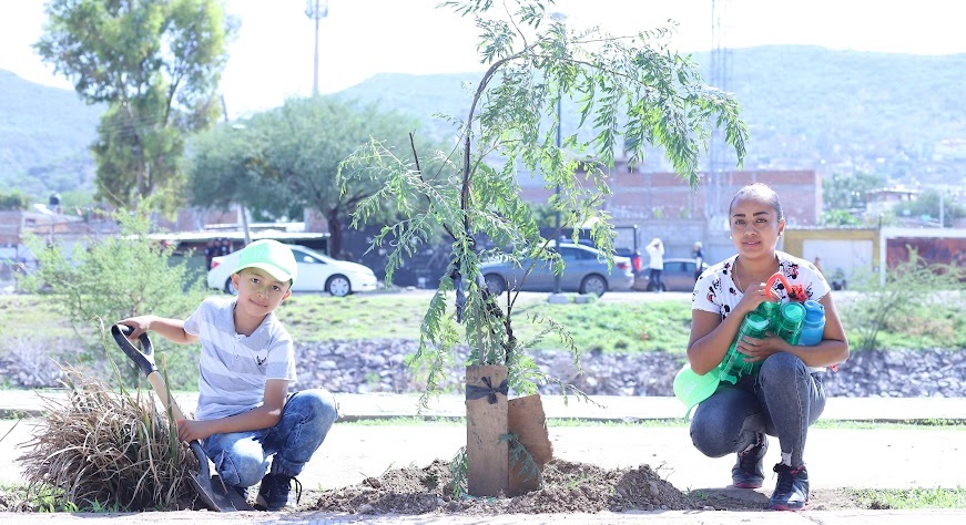 Encabeza Ale jornada de forestación