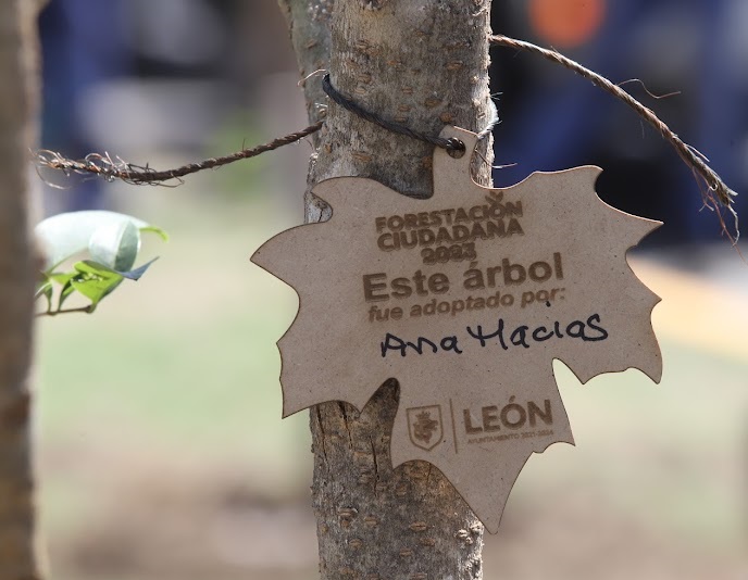 Encabeza Ale jornada de forestación