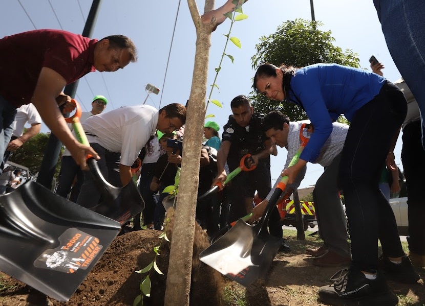 Encabeza Ale jornada de forestación