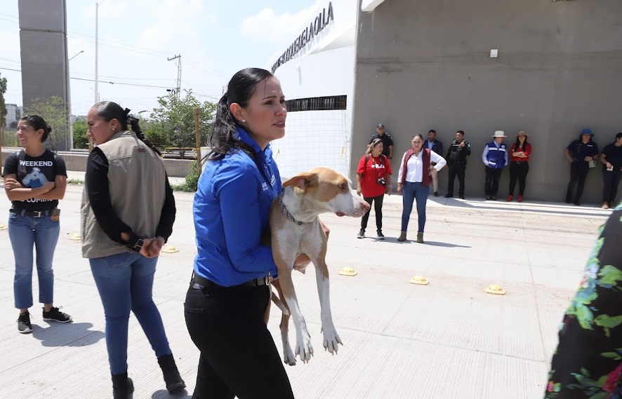 Visita Ale obras del Parque Bosque de La Olla