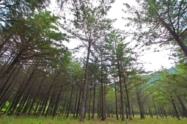 Reconocen protección al medio ambiente en Guanajuato