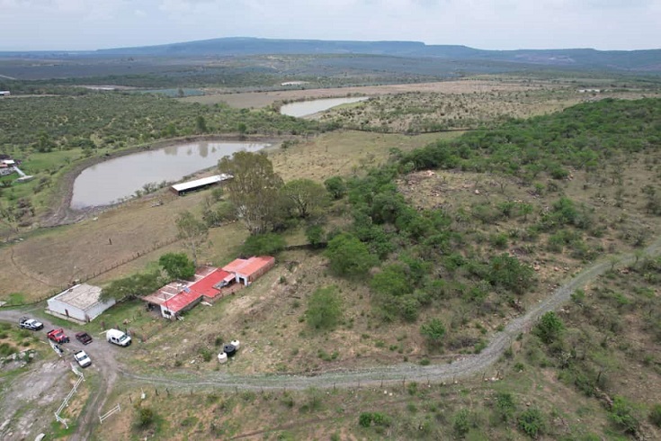 Rescatan a hombre entre Jalpa y Cañada de Negros