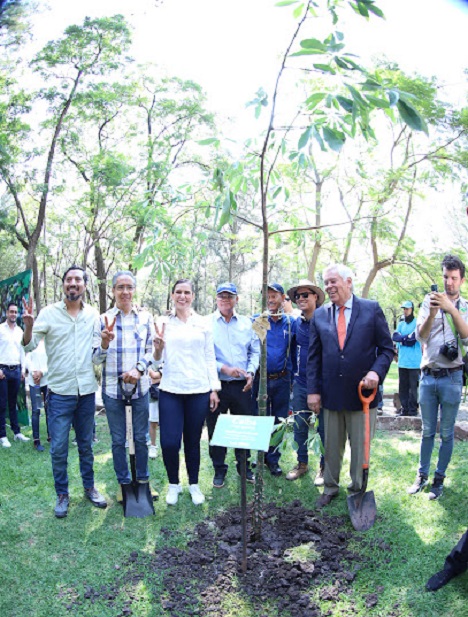 Encabeza Ale reforestación en el Zoo León