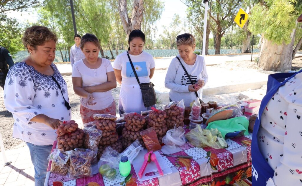 Jalpa de Canovas Vendimia Frutos Purísima Guanajuato 5