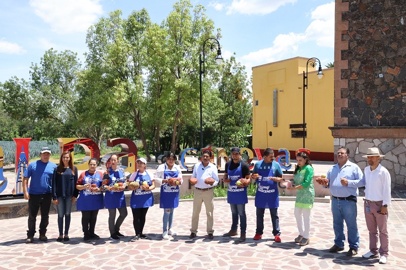 Jalpa de Canovas Vendimia Frutos Purísima Guanajuato 6