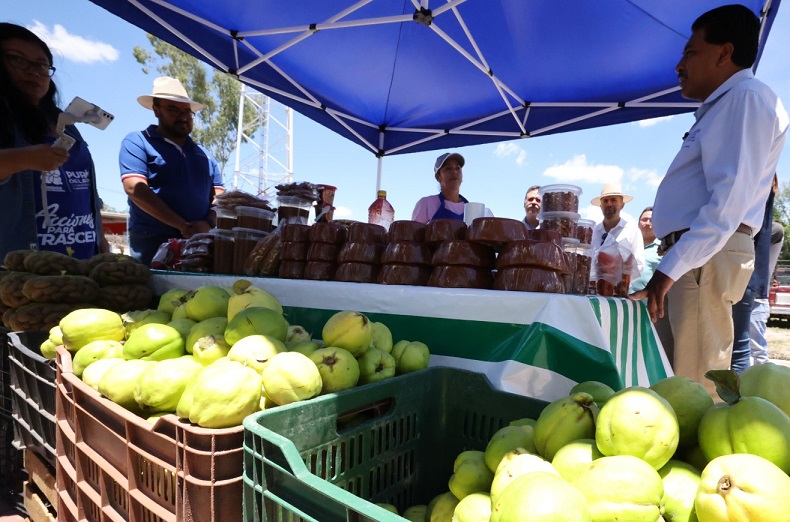 Jalpa de Canovas Vendimia Frutos Purísima Guanajuato 7