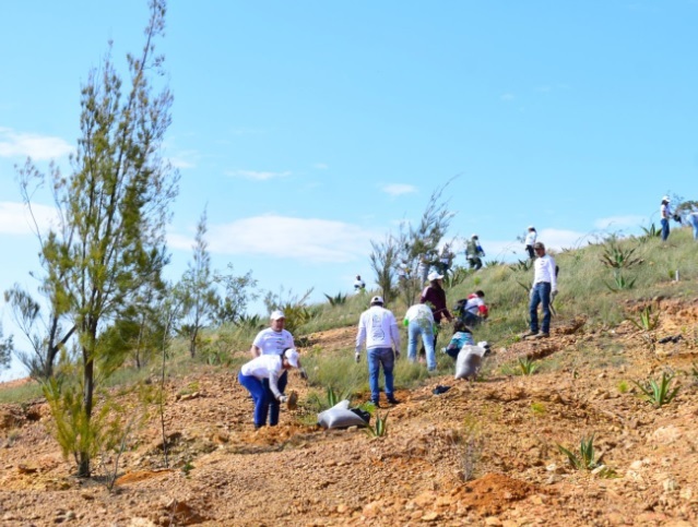 Plantan SMAOT, asociaciones y dependencias 1 mil 500 árboles