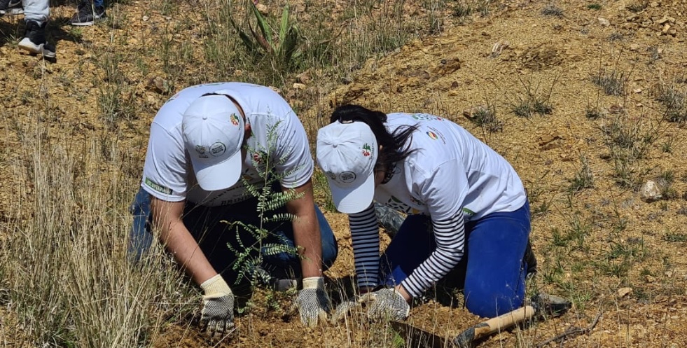 Plantan SMAOT, asociaciones y dependencias 1 mil 500 árboles