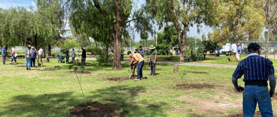 Plantan SMAOT, asociaciones y dependencias 1 mil 500 árboles