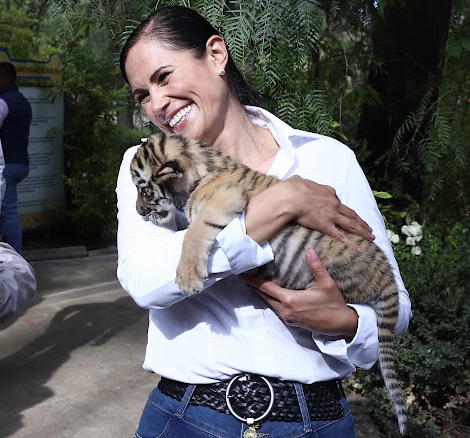 Zoo León Habitats Empresas Guanajuato 7