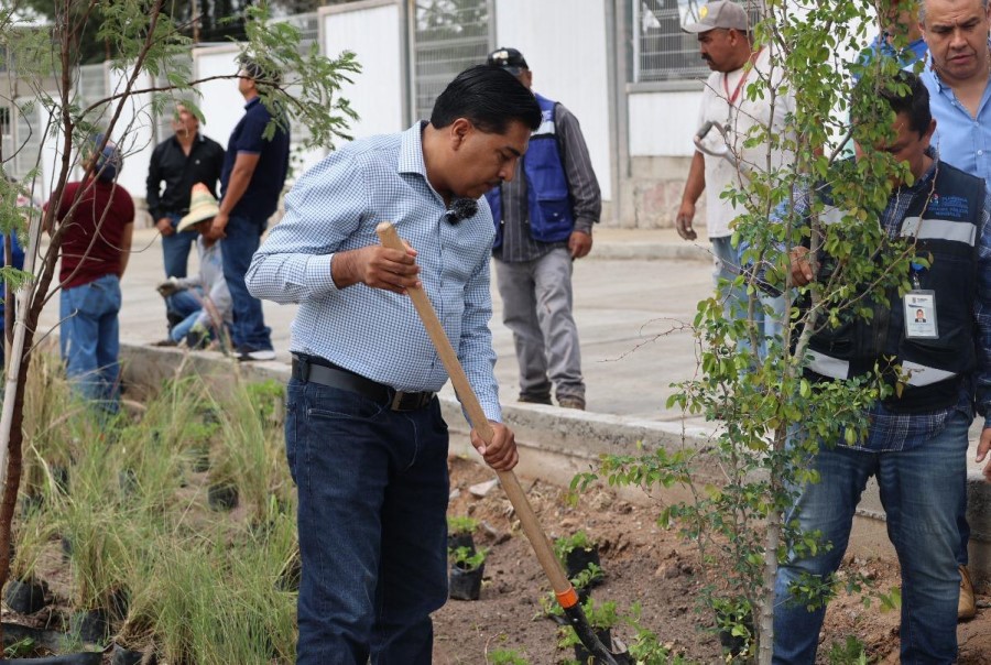 Planta Purísima ‘Raíces del Futuro’