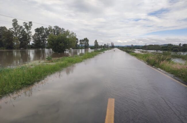 Presa Frías Manuel Doblado Purísima del Rincón Revienta 3